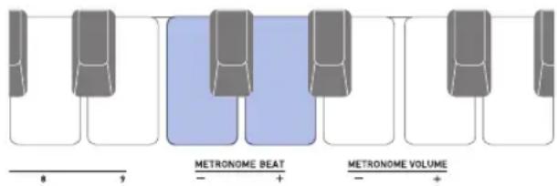 METRONOME BEAT — + METRONOME VOLUME — +