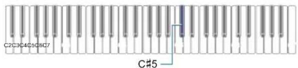 C2C3C4C5C6C7 C#5