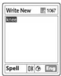 Write New 1067 knee Spell OK Eng