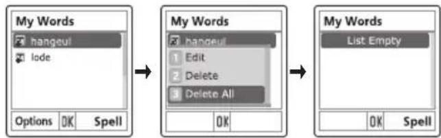 PANTECH C300 - Entering text - 1