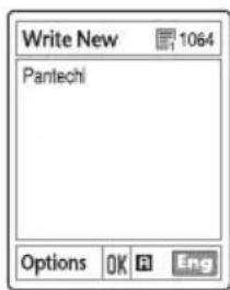 Write New 1064 Pantechi Options OK R Eng