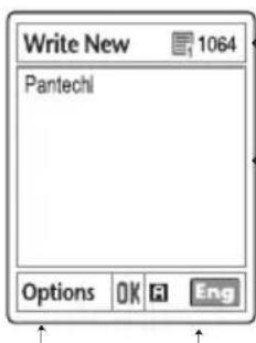 Write New 1064 Pantechi Options OK F Eng