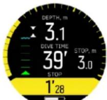 DEPTH, m 3.1 DIVE TIME 39' STOP, m 3.0 1'28