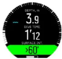 DEPTH, m 3.9 DIVE TIME 1'12 SURFACE INT. >60'