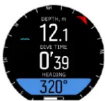 DEPTH, m 12.1 DIVE TIME 0'39 HEADING 320°