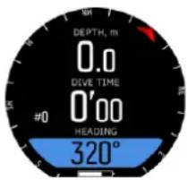 DEPTH, m 0.0 DIVE TIME #0 0'00 HEADING 320°