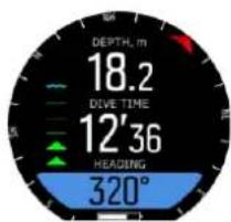 DEPTH, m 18.2 DIWE TIME 12'36 HEADING 320°