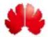 HUAWEI Band 4 - Trademarks and Permissions - 1