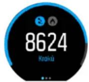 SUUNTO Spartan Sport Wrist HR Baro - Monitorování aktivity - 1