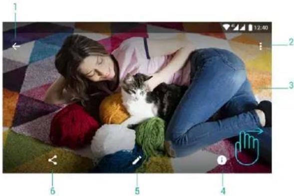 Woman sleeping with a cat on a colorful knitted blanket, no visible text or symbols