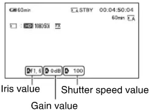 SONY HXR-NX5M - CAMERA DATA DISPLAY - 1