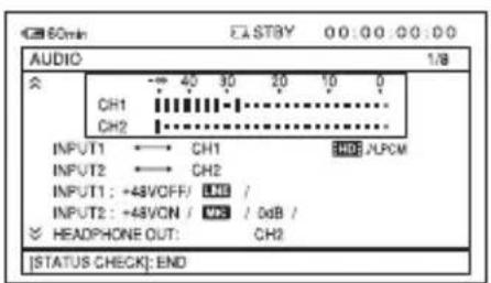 SONY HXR-NX5M - Press the STATUS CHECK button D. - 1