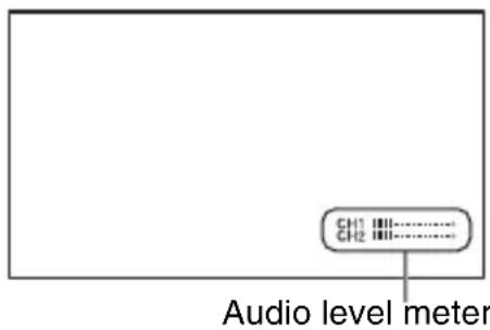 SONY HXR-NX5M - AUDIO LEVEL DISPLAY - 1