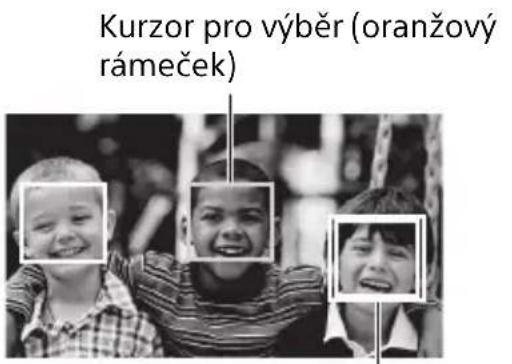 Kurzor pro výběr (oranžový rámeček)