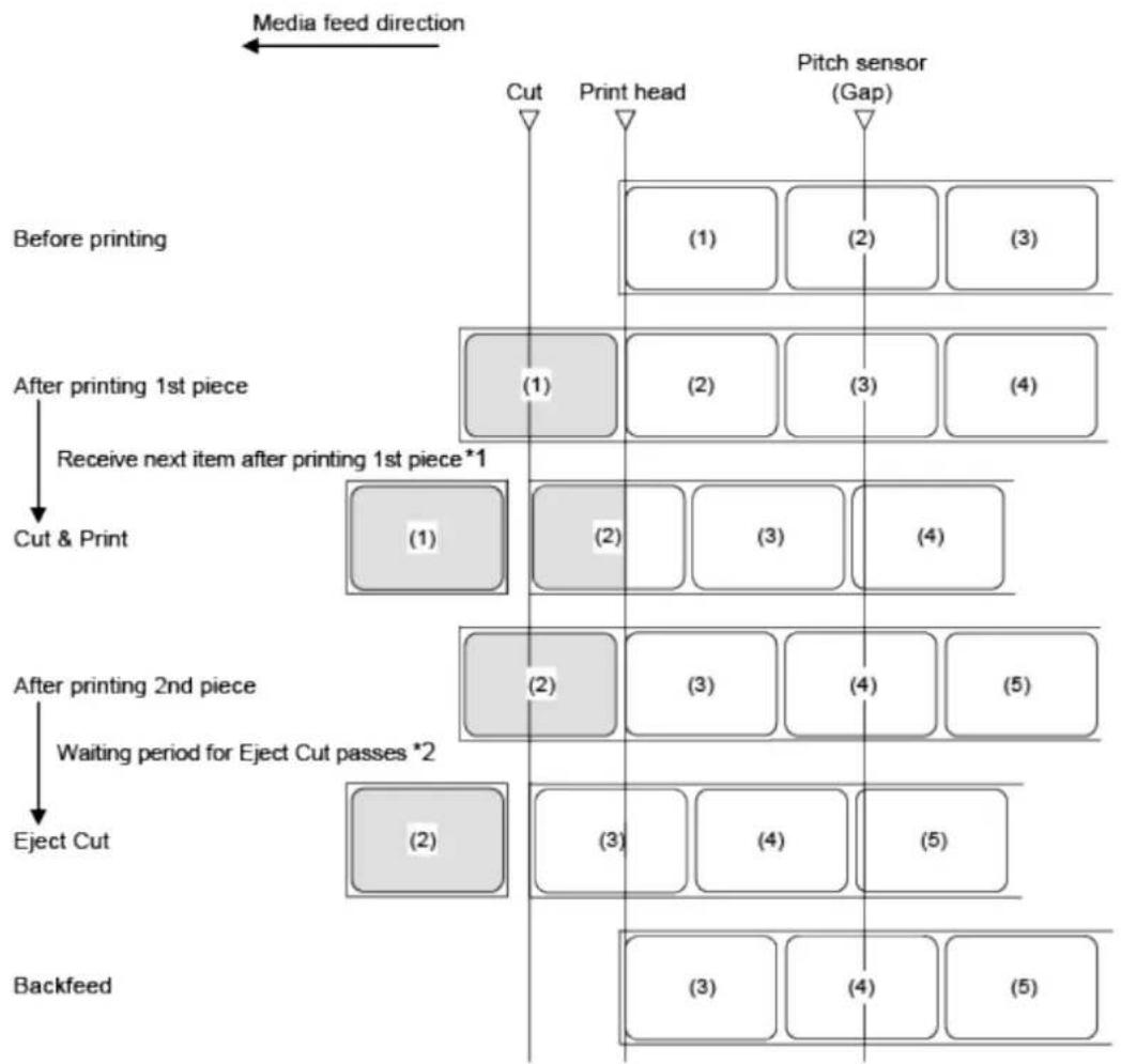 SATO CL4NX Plus - Operation 16: Cut & Print Mode Without Pulse Input (Head Check Enabled) - 1