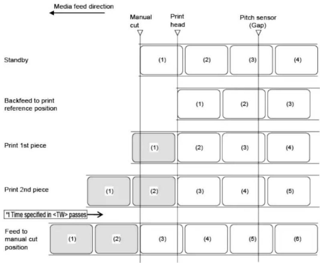 SATO CL4NX Plus - Operation 6: Tear-Off Mode Without Pulse Input (Head Check Enabled) - 1