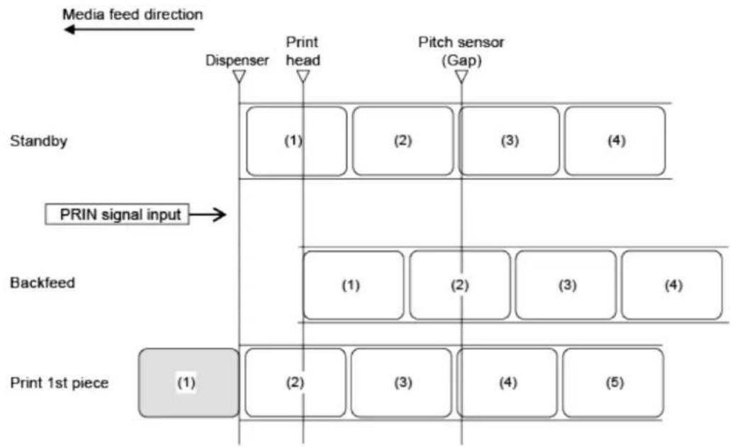 SATO CL4NX Plus - Operation 34: Dispenser Mode, Backfeed Before Printing, and with Pulse Input (Head Check Enabled) - 1