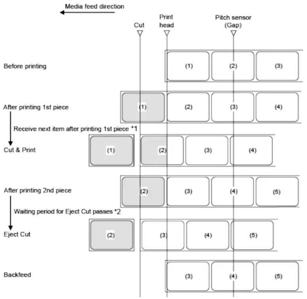 SATO CL4NX Plus - Operation 15: Cut & Print Mode Without Pulse Input (Head Check Disabled) - 1
