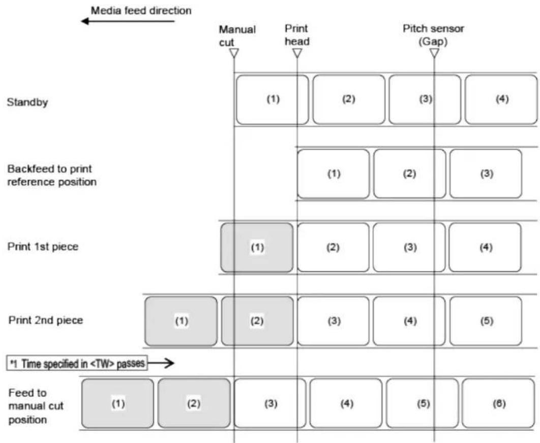 SATO CL4NX Plus - Operation 5: Tear-Off Mode Without Pulse Input (Head Check Disabled) - 1