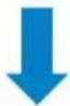 SATO CL4NX Plus - Outputting a Label from an Application Software - 2