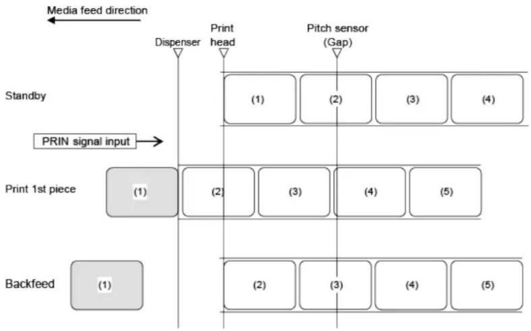 SATO CL4NX Plus - Operation 32: Dispenser Mode, Backfeed After Printing, and with Pulse Input (Head Check Enabled) - 1