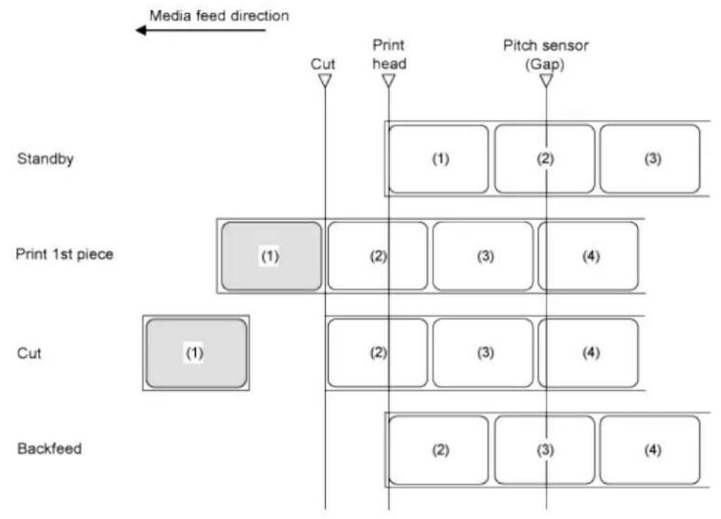 SATO CL4NX Plus - Operation 11: Cutter Mode, Backfeed After Printing, and Without Pulse Input (Head Check Disabled) - 1