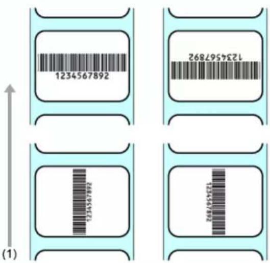 SATO CL4NX Plus - Cut &amp; Print mode - 6