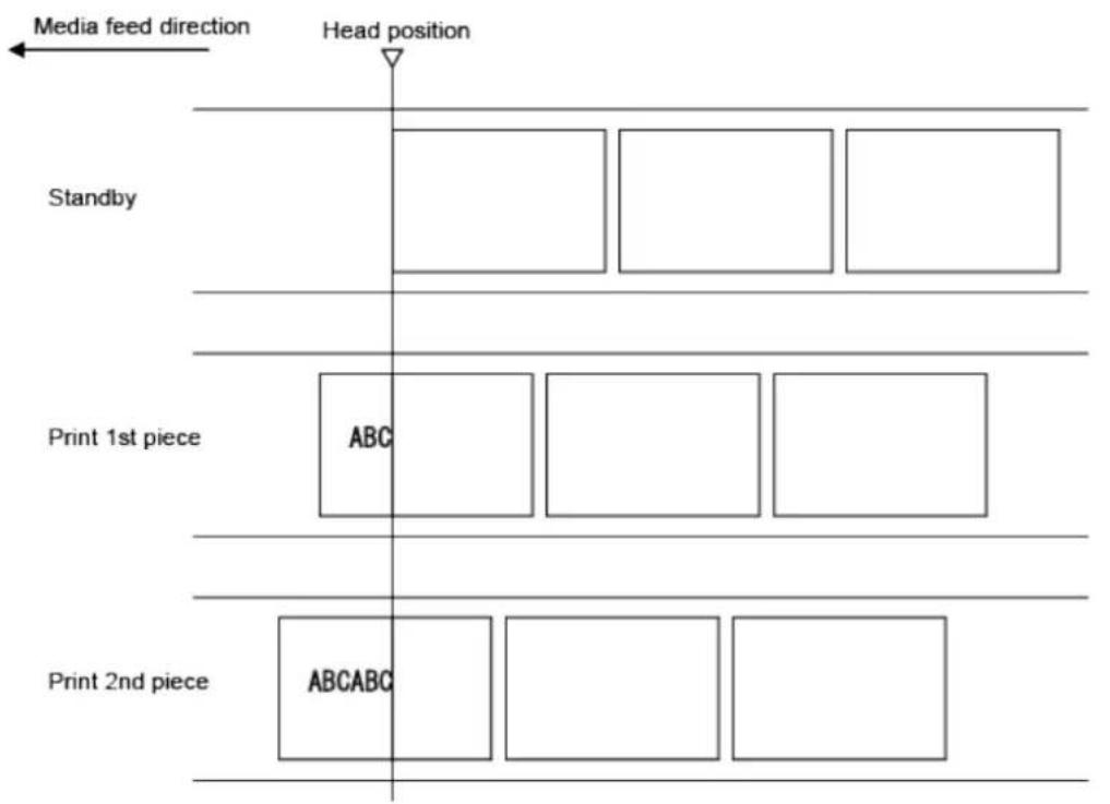 SATO CL4NX Plus - Operations When the Media Sensor Is Disabled - 1