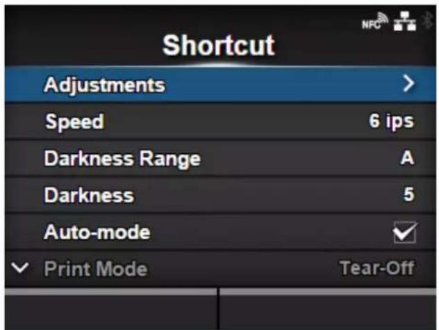 SATO CL4NX Plus - Various Settings of the Product - 2
