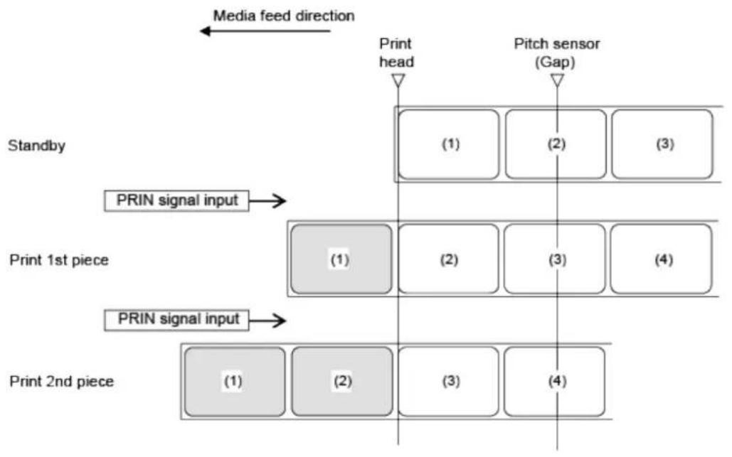 SATO CL4NX Plus - Operation 3: Continuous Mode with Pulse Input (Head Check Disabled) - 1