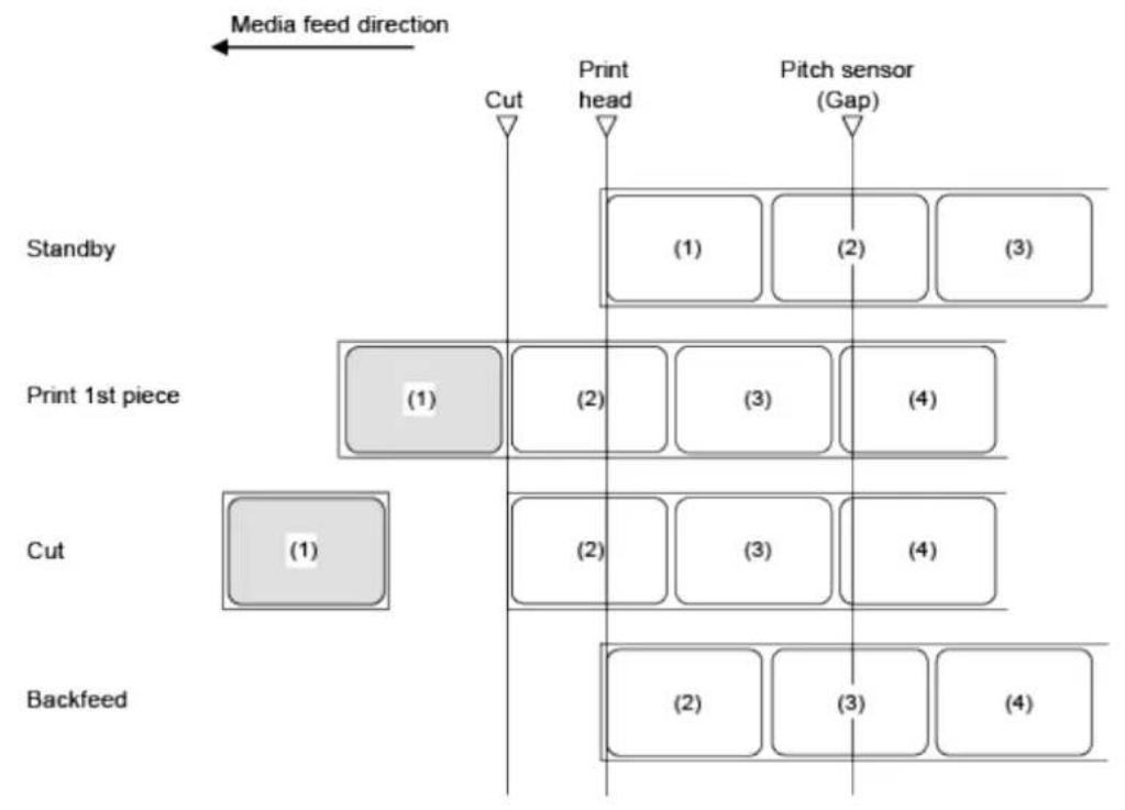 SATO CL4NX Plus - Operation 12: Cutter Mode, Backfeed After Printing, and Without Pulse Input (Head Check Enabled) - 1