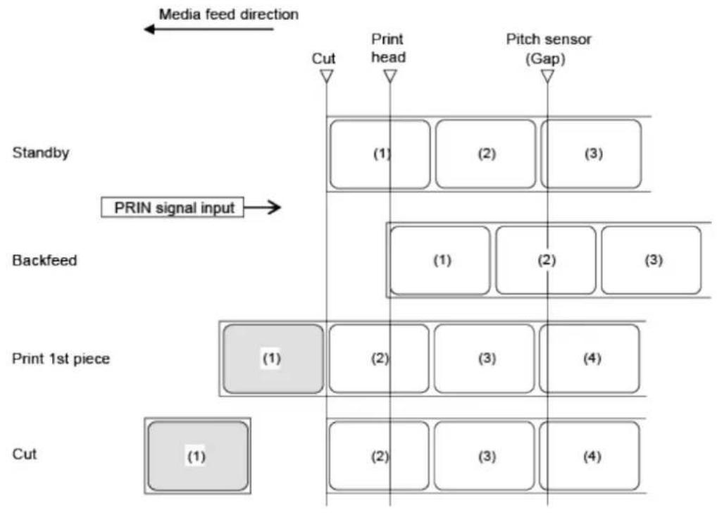 SATO CL4NX Plus - Operation 21: Cutter Mode, Backfeed Before Printing, and with Pulse Input (Head Check Disabled) - 1