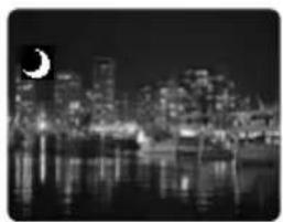 CANON MVX25i - Using the Night Modes - 5
