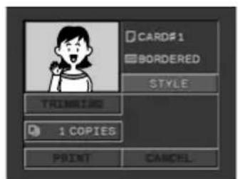 CANON MVX25i - SET Setting the Print Style - 2