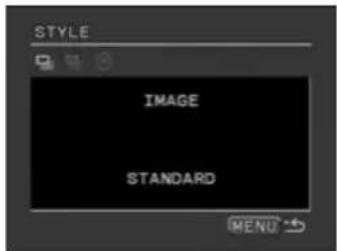 CANON MVX25i - Selecting the Image Style - 1