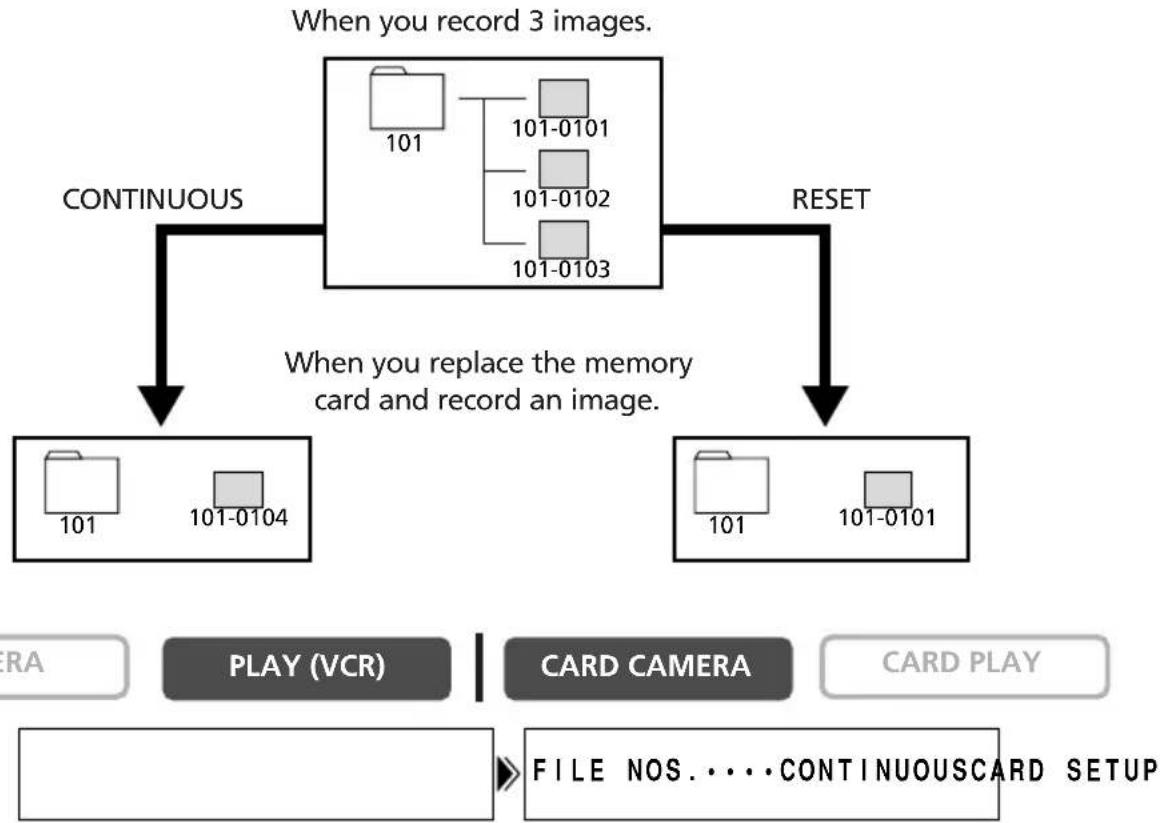 CANON MVX25i - File Numbers - 1
