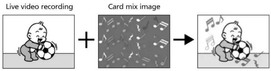 CANON MVX25i - Card Animation (C. ANIMATION) - 1