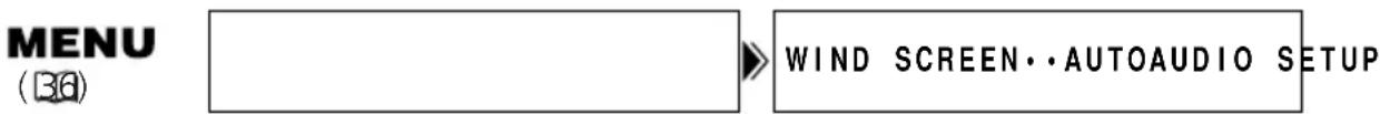 CANON MVX25i - Wind Screen - 2