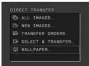 CANON MVX25i - Transferring a Still Image as Wallpaper - 2