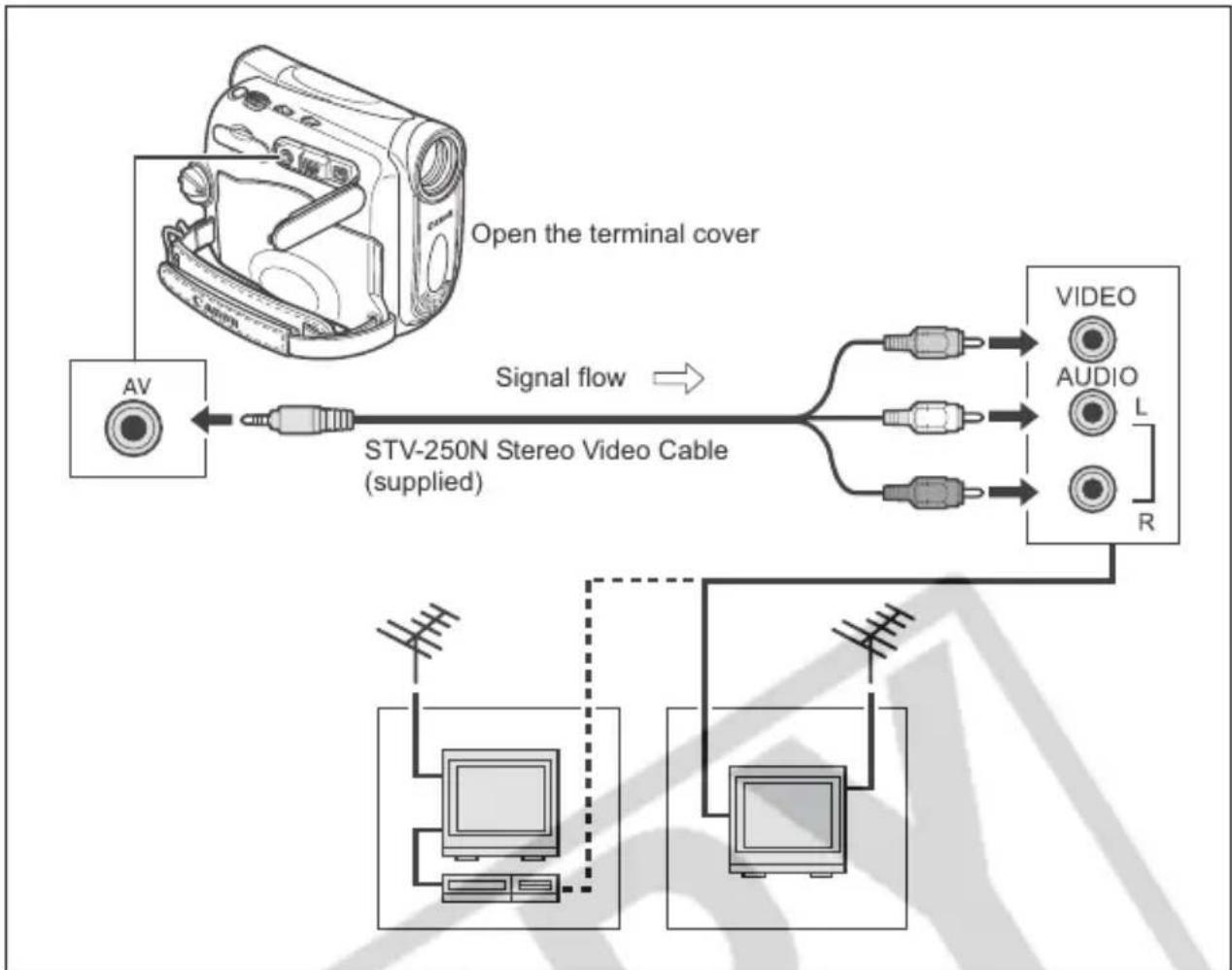 CANON MV960 - TVs with Audio/Video Terminals - 1