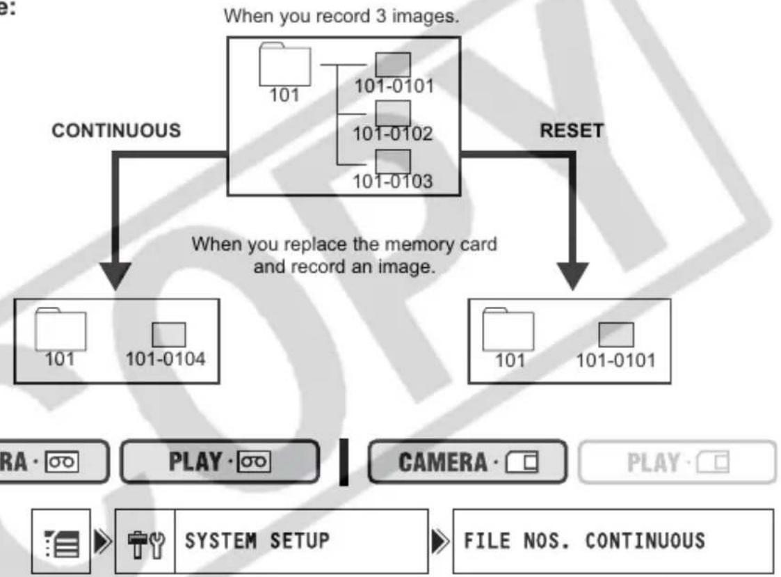 CANON MV960 - File Numbers - 1