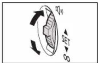 CANON MVX350i - Adjusting the Focus Manually - 7