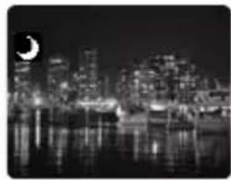 CANON MVX350i - Using the Night Modes - 1