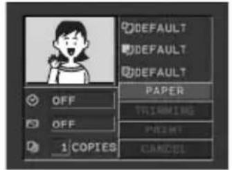 CANON MVX350i - Paper Settings - 1