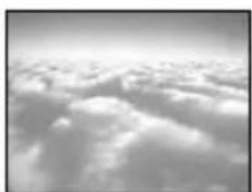 CANON MVX350i - Sample Images - 12