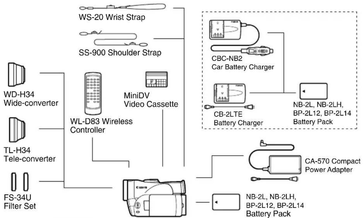 CANON MVX200i - Playback on a TV Screen - 1