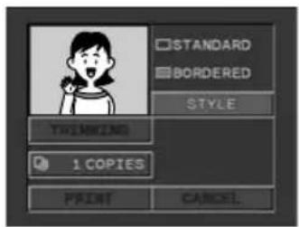 CANON MVX200i - Setting the Print Style - 2