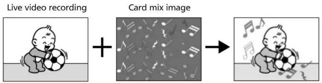 CANON MVX200i - Card Animation (C. ANIMATION) - 1