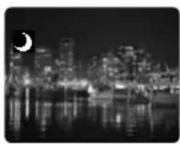 CANON MVX200i - Using the Night Modes - 1