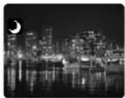 CANON MVX330i - Using the Night Modes - 1